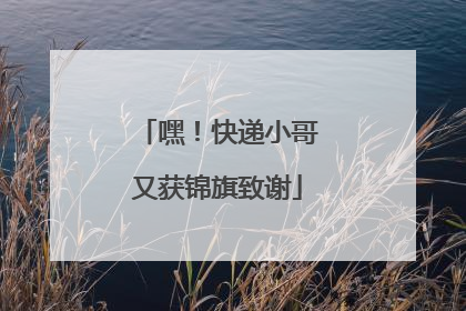 嘿！快递小哥又获锦旗致谢