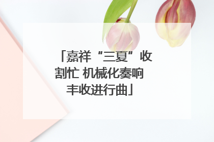 嘉祥“三夏”收割忙 机械化奏响丰收进行曲