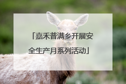 嘉禾普满乡开展安全生产月系列活动