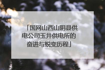 国网山西山阴县供电公司玉井供电所的奋进与蜕变历程