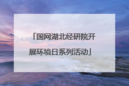 国网湖北经研院开展环境日系列活动