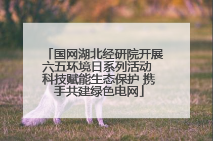 国网湖北经研院开展六五环境日系列活动 科技赋能生态保护 携手共建绿色电网