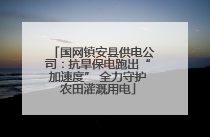 国网镇安县供电公司：抗旱保电跑出“加速度” 全力守护农田灌溉用电