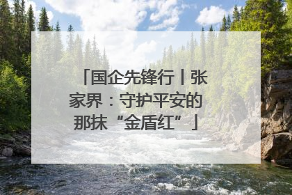 国企先锋行丨张家界：守护平安的那抹“金盾红”