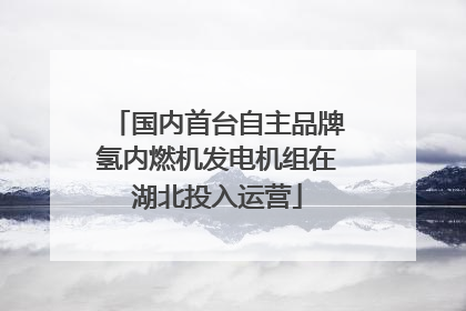 国内首台自主品牌氢内燃机发电机组在湖北投入运营