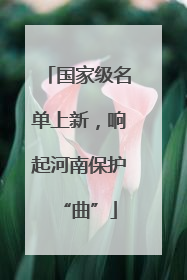 国家级名单上新，响起河南保护“曲”