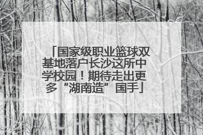 国家级职业篮球双基地落户长沙这所中学校园！期待走出更多“湖南造”国手