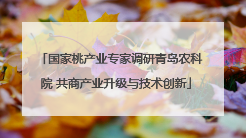 国家桃产业专家调研青岛农科院 共商产业升级与技术创新