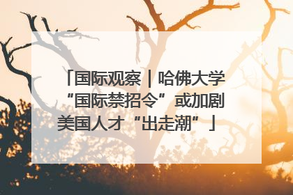 国际观察｜哈佛大学“国际禁招令”或加剧美国人才“出走潮”