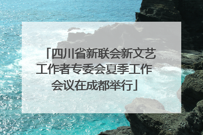 四川省新联会新文艺工作者专委会夏季工作会议在成都举行