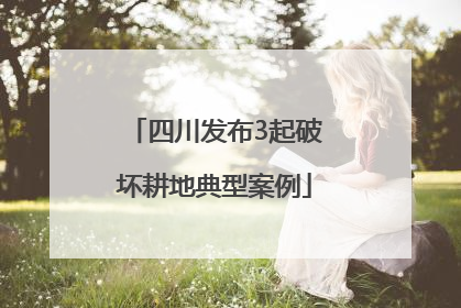 四川发布3起破坏耕地典型案例