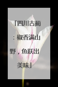 四川古蔺：椒香满山野，鱼跃出美味