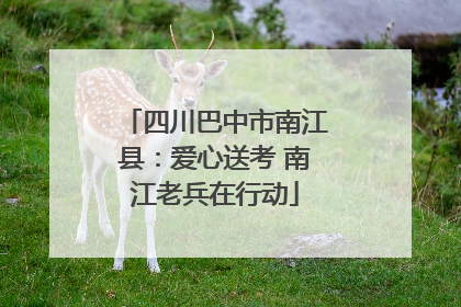 四川巴中市南江县：爱心送考 南江老兵在行动