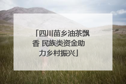 四川苗乡油茶飘香 民族类资金助力乡村振兴