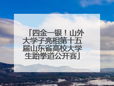 四金一银！山外大学子亮相第十五届山东省高校大学生跆拳道公开赛