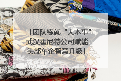 团队练就“大本事” 武汉霍尼特公司赋能头部车企智慧升级