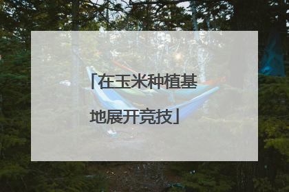在玉米种植基地展开竞技