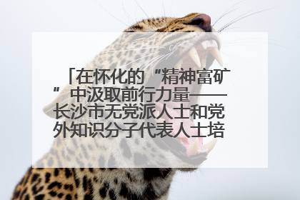 在怀化的“精神富矿”中汲取前行力量——长沙市无党派人士和党外知识分子代表人士培训班在怀化圆满举办