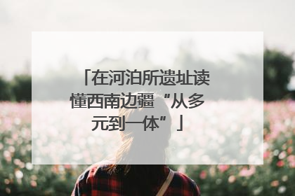在河泊所遗址读懂西南边疆“从多元到一体”