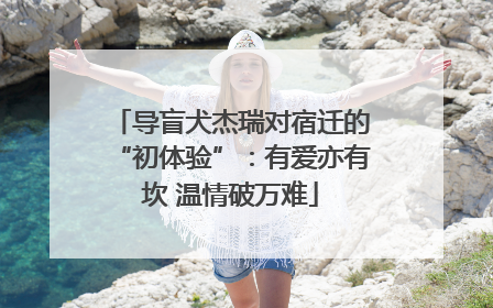 导盲犬杰瑞对宿迁的“初体验”：有爱亦有坎 温情破万难