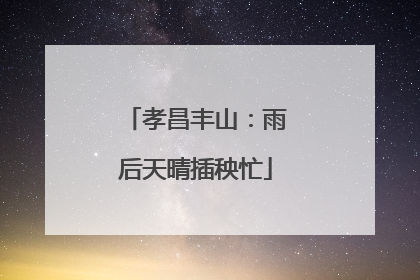 孝昌丰山：雨后天晴插秧忙