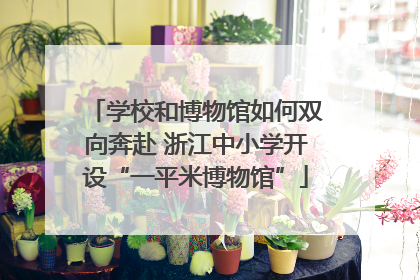 学校和博物馆如何双向奔赴 浙江中小学开设“一平米博物馆”