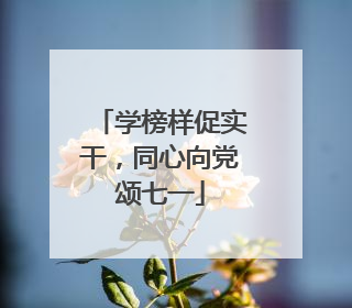 学榜样促实干，同心向党颂七一