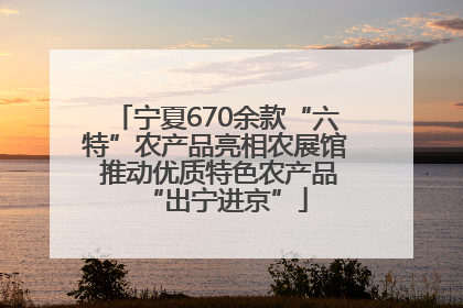 宁夏670余款“六特”农产品亮相农展馆 推动优质特色农产品“出宁进京”