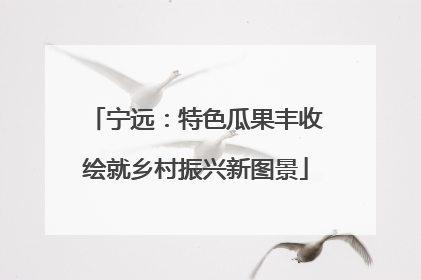 宁远：特色瓜果丰收绘就乡村振兴新图景