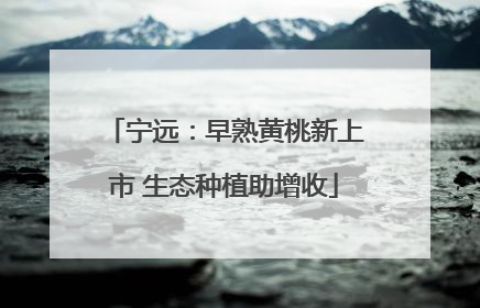 宁远：早熟黄桃新上市 生态种植助增收