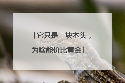 它只是一块木头，为啥能价比黄金