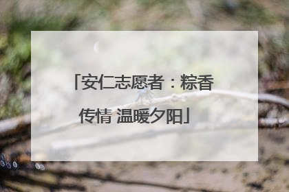 安仁志愿者：粽香传情 温暖夕阳