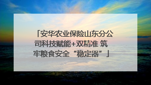 安华农业保险山东分公司科技赋能+双精准 筑牢粮食安全“稳定器”