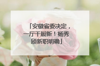 安徽省委决定，一厅干履新！杨秀颀新职明确