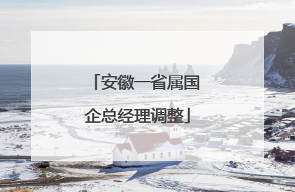 安徽一省属国企总经理调整
