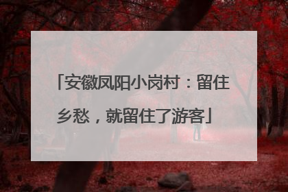 安徽凤阳小岗村：留住乡愁，就留住了游客