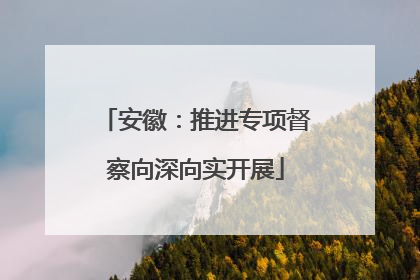 安徽：推进专项督察向深向实开展