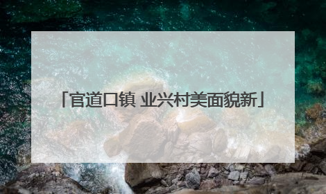 官道口镇 业兴村美面貌新