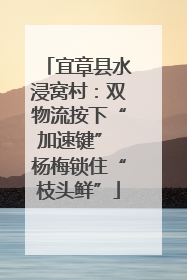 宜章县水浸窝村：双物流按下“加速键” 杨梅锁住“枝头鲜”