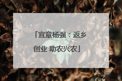 宜章杨强：返乡创业 助农兴农