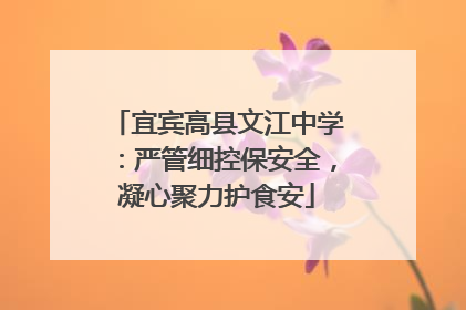 宜宾高县文江中学：严管细控保安全，凝心聚力护食安