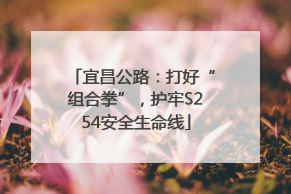 宜昌公路：打好“组合拳”，护牢S254安全生命线