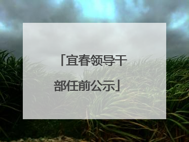 宜春领导干部任前公示