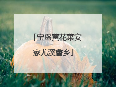 宝岛黄花菜安家尤溪畲乡