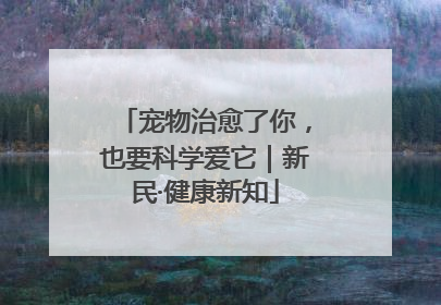 宠物治愈了你，也要科学爱它｜新民·健康新知