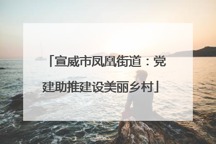 宣威市凤凰街道：党建助推建设美丽乡村