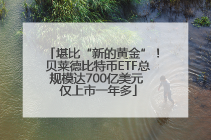 堪比“新的黄金”！贝莱德比特币ETF总规模达700亿美元 仅上市一年多