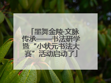 墨舞金陵·文脉传承——书法研学暨“小状元书法大赛”活动启动了
