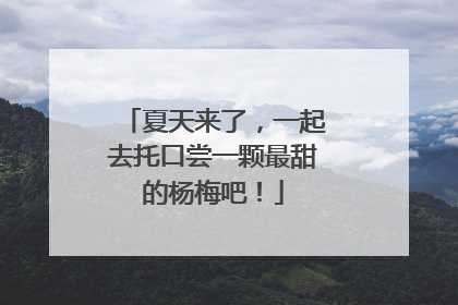 夏天来了，一起去托口尝一颗最甜的杨梅吧！