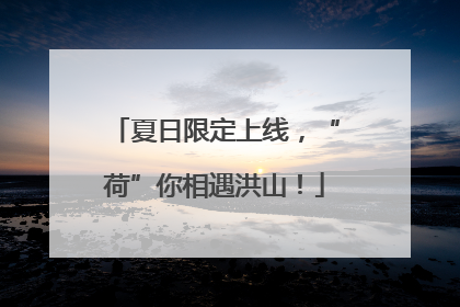 夏日限定上线，“荷”你相遇洪山！